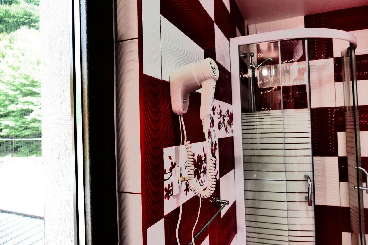 Pensiunea Roua Florilor Hotel Anina Eksteriør billede